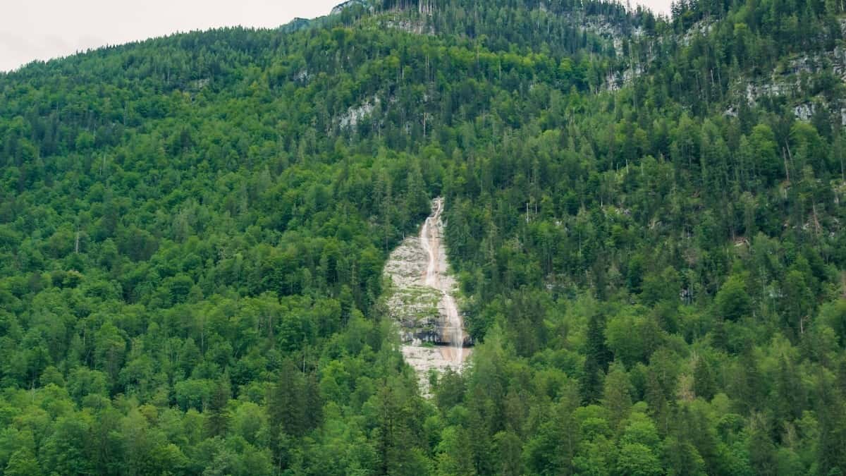 Slovenskí tvorcovia: ako zaujať ír. značky na TikToku