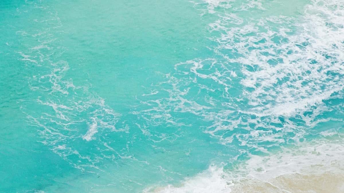 Influenceri: Ako osloviť maltské beauty značky na Telegrame