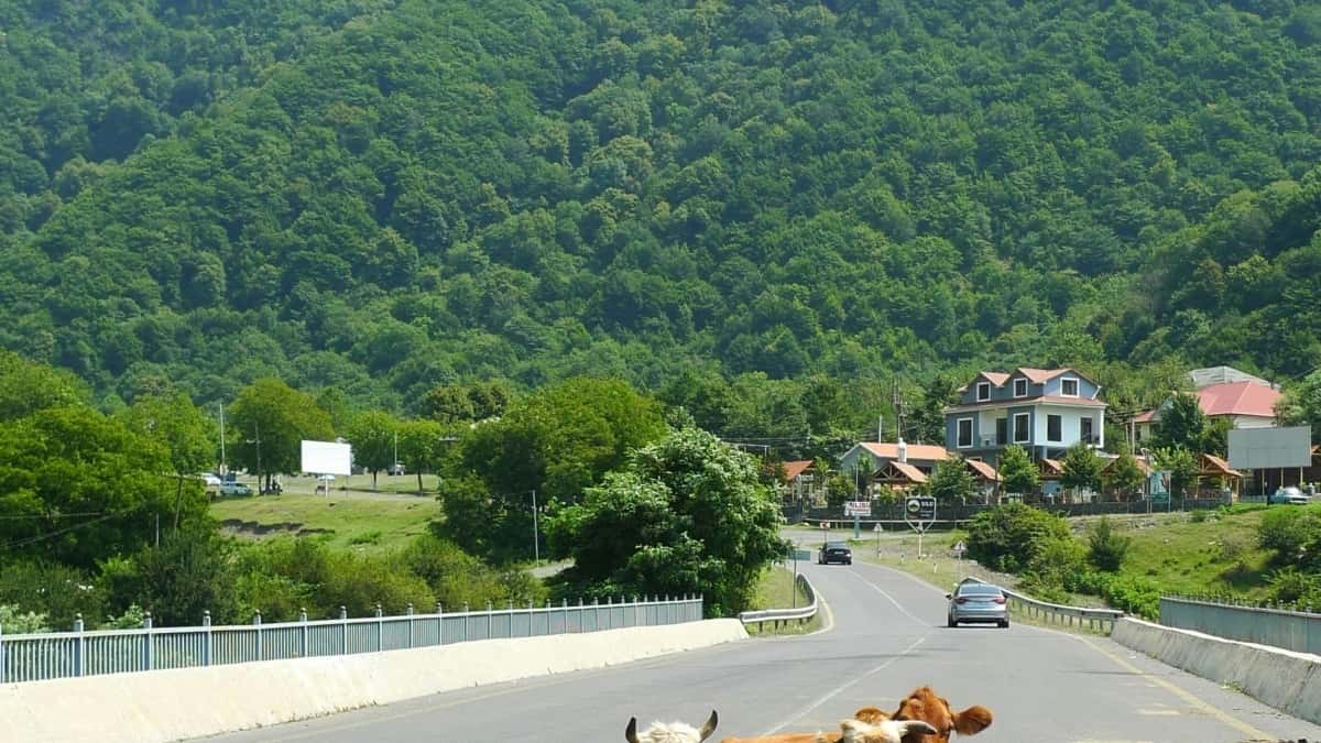 Slovenskí marketéri: Ako nájsť novozélandských Roposo tvorcov na UGC kampane?