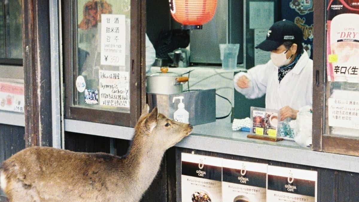 Slovenskí marketéri: nájsť Kenya VK tvorcov rýchlo