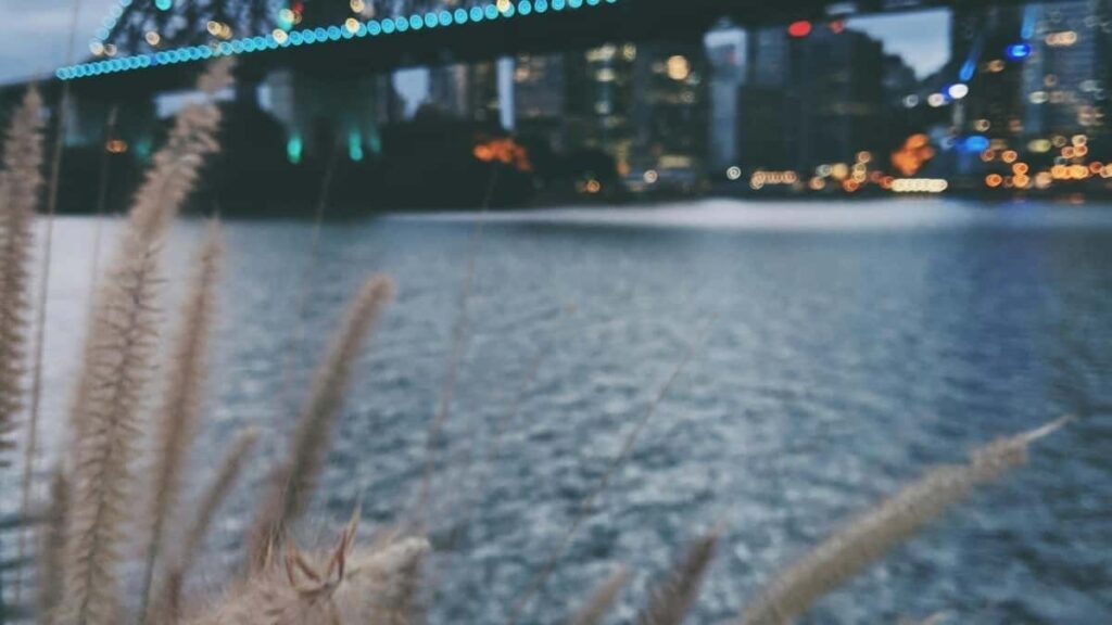 Prakticky navod pre slovenskych tvorcov: ako cez Viber efektivne oslovit ukrajinske znacky, ziskat spoluprace a budovat reputaciu s top hracmi.