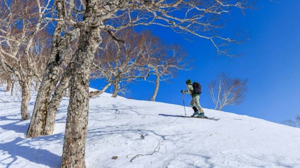 Prakticky navod pre slovenskych inzerentov: kde hladat venezuelskych Instagram tvorcov, ako ich overit a zapojit do kampani zameranych na fanusikov hudby.