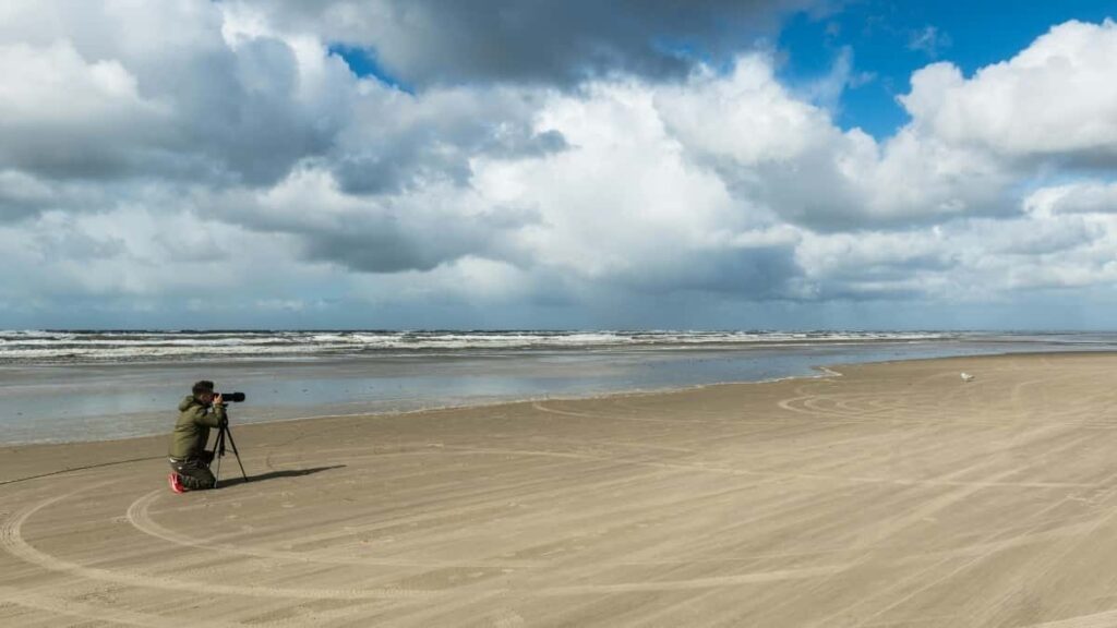 Prakticky navod pre slovenskych inzerentov, ako identifikovat a oslovit tvorcov z United Kingdom na platforme Josh pre sezonne promo akcie.