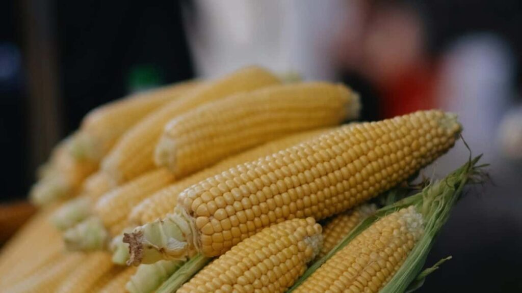 Prakticky navod pre slovenskych inzerentov: kde sledovat, ako filtrovat a ako vyjednavat s svajciarskymi kreatormi na Threads pre kampane zalozene na zapojeni.