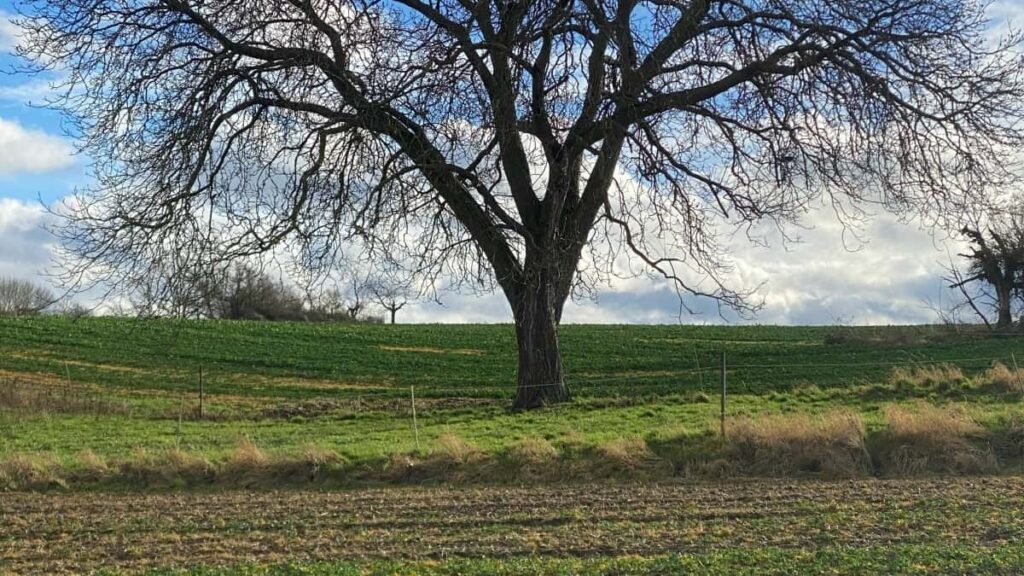 Prakticky navod pre slovenskych creatorov: ako najst, oslovit a spravit spoluprace so svedskymi znackami cez Douyin pri tvorbe travel guide obsahu.