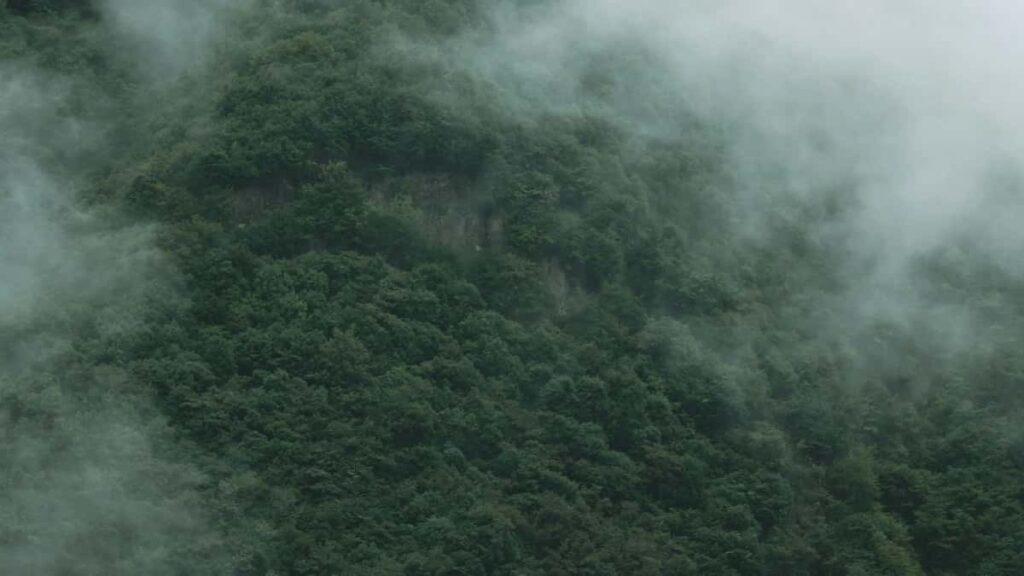 Prakticky navod pre slovenskych tvorcov: ako najst, oslovit a ziskat platene spoluprace s talianskymi znackami cez Taobao a cross-border prilezitosti v roku 2025.