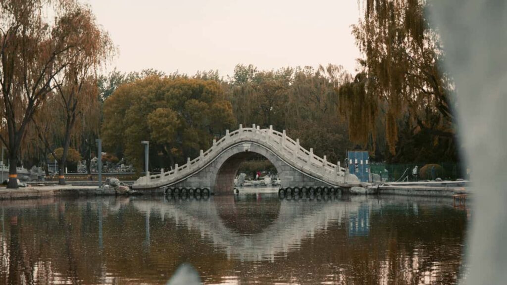 Prakticky navod pre slovenskych inzerentov: kde a ako najst etiopskych tvorcov na Reddit na reakcne kampane k albumom, s taktikami, rizikami a realnymi krokmi.