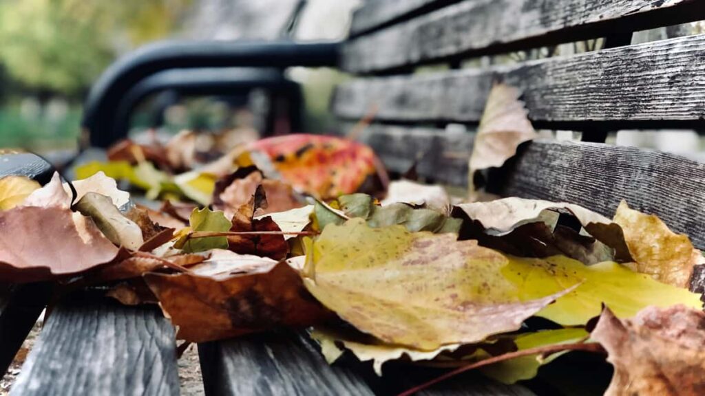 Prakticky navod pre slovenskych inzerentov: ako najst iranskych tvorcov suvisiacich s Amazon obsahom a zapojit streamery na drive instalacii appiek a promo.