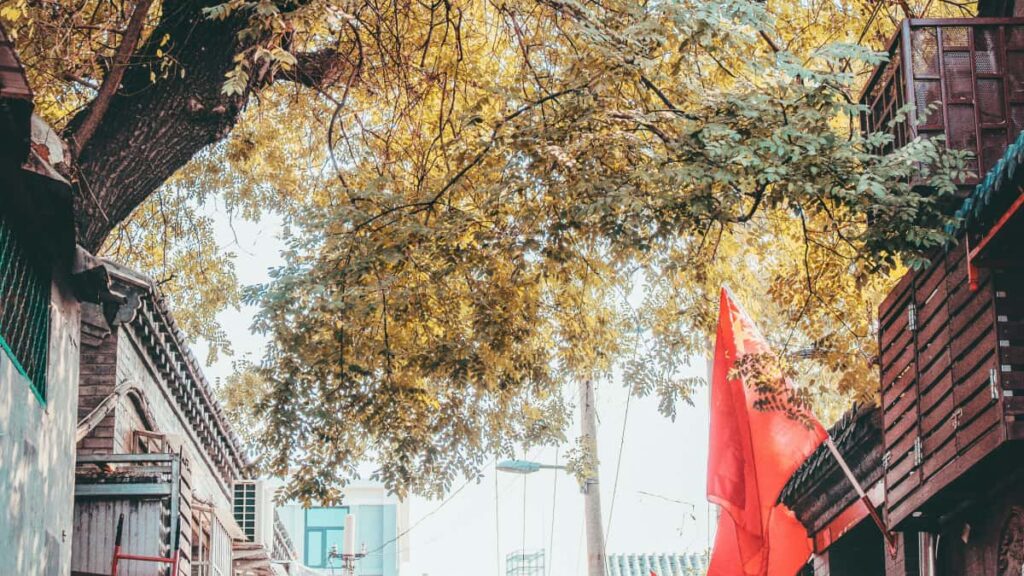 Prakticky navod pre slovenskych creatorov: kroky, taktiky a priklady, ako cez Moj ziskat pozornost francuzskych znaciek a novu publikum.