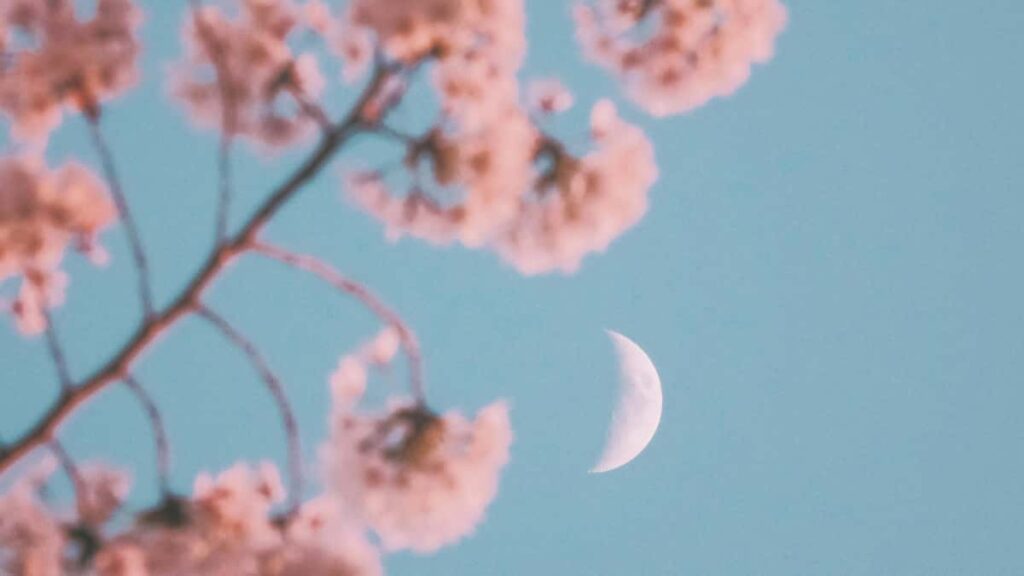 Prakticky navod pre slovenskych creatorov: ako najst, oslovit a presvedcit uzbecke herne znacky na Rumble, aby recenzovali nove funkcie hier.