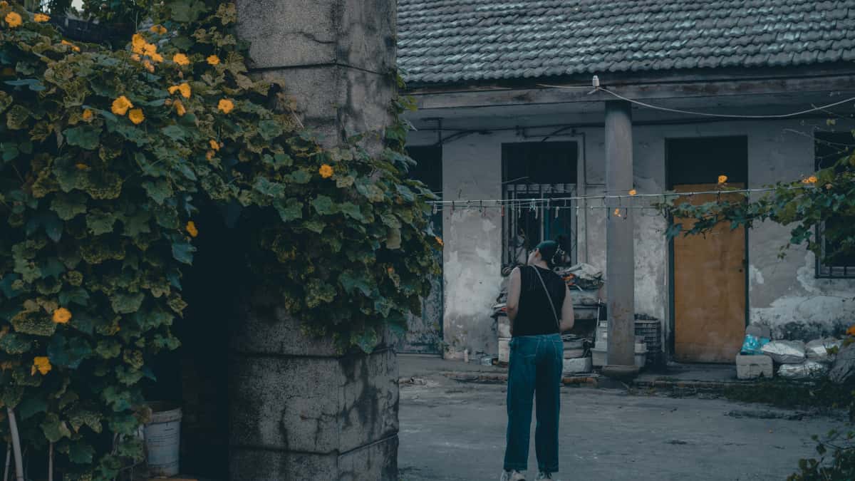 Tvorcovia: ako osloviť srbské značky na TikToku a rásť